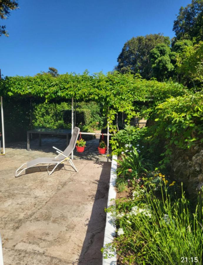 Cap Corse Une Villa Dans Un Nid De Verdure San-Martino-di-Lota Dış mekan fotoğraf