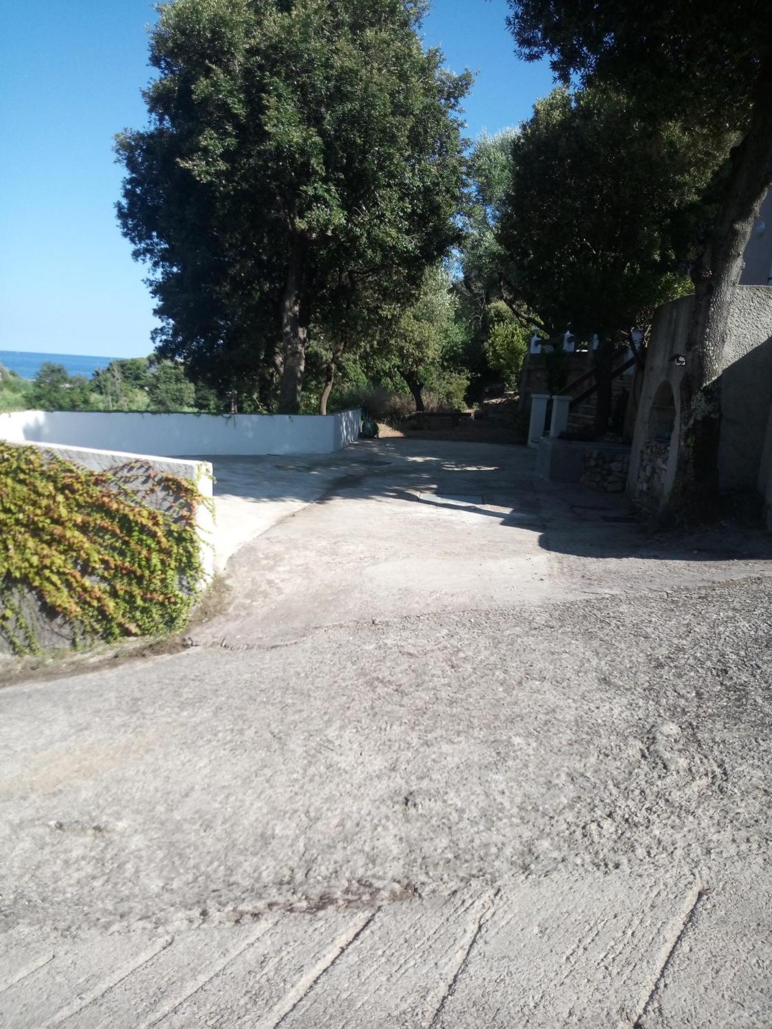 Cap Corse Une Villa Dans Un Nid De Verdure San-Martino-di-Lota Dış mekan fotoğraf